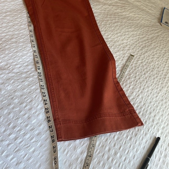 Old Navy Rust Ankle Pants - Picture 3 of 4